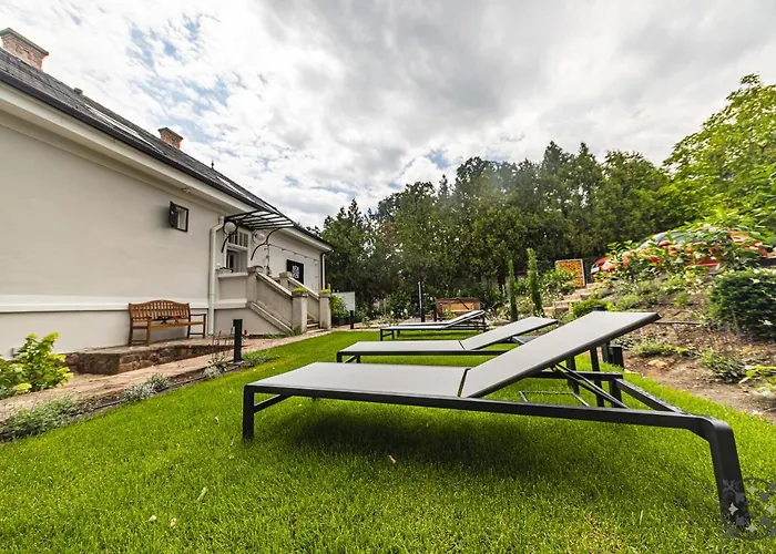Chez Les Amis - Adults Only Affittacamere 4*
